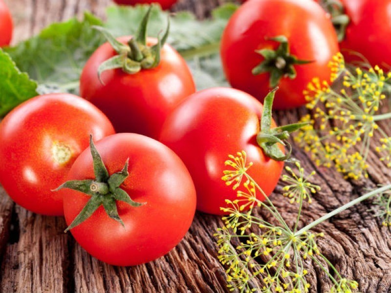 Cà chua không chỉ ngon mà còn rất tốt cho sức khỏe